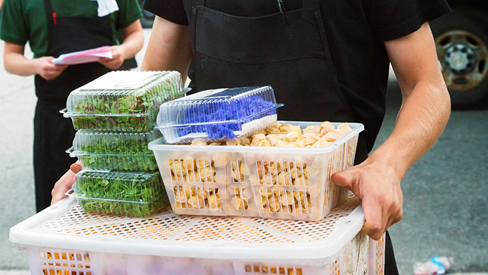 Understanding HACCP Principles