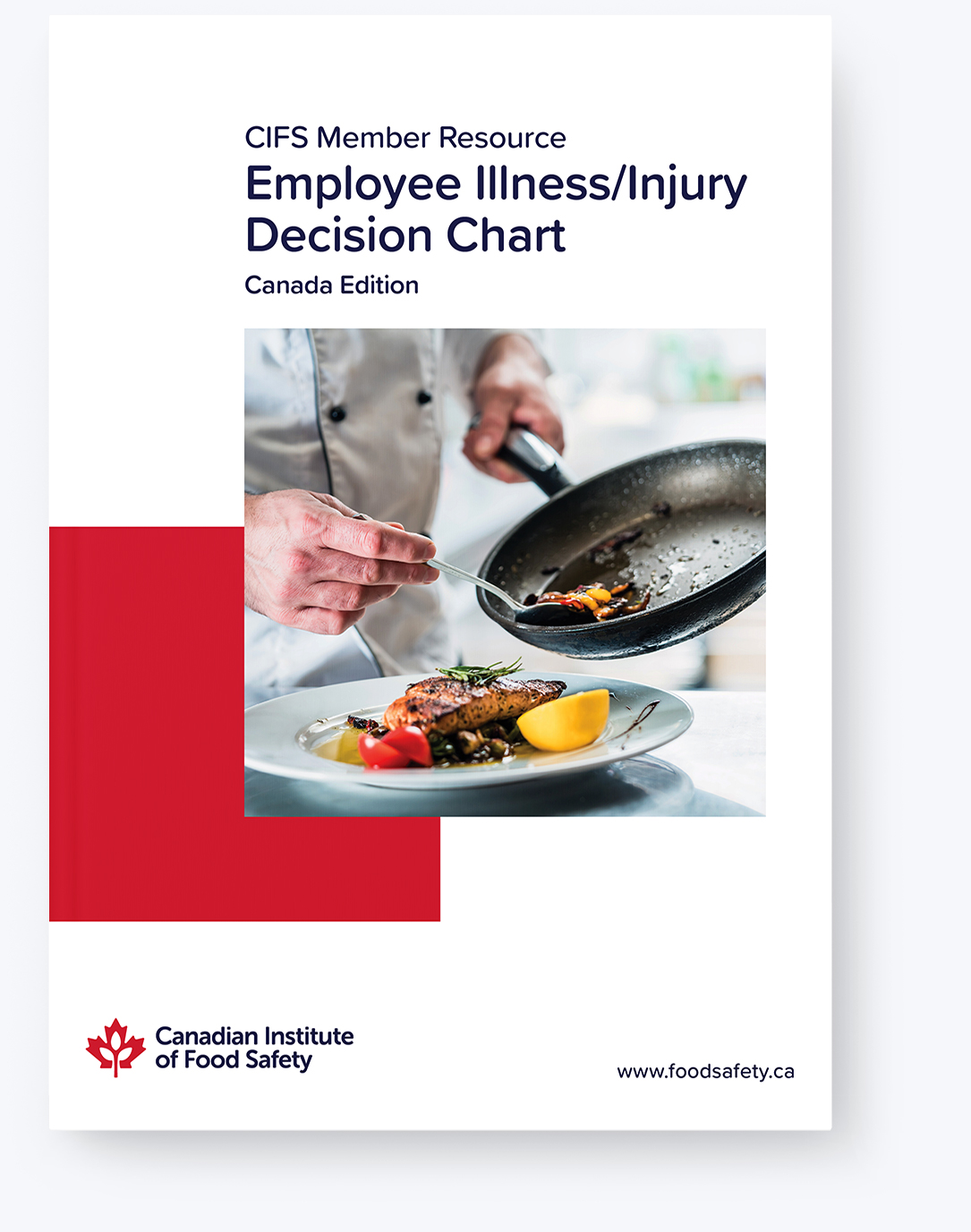 Employee Illness/Injury Decision Chart