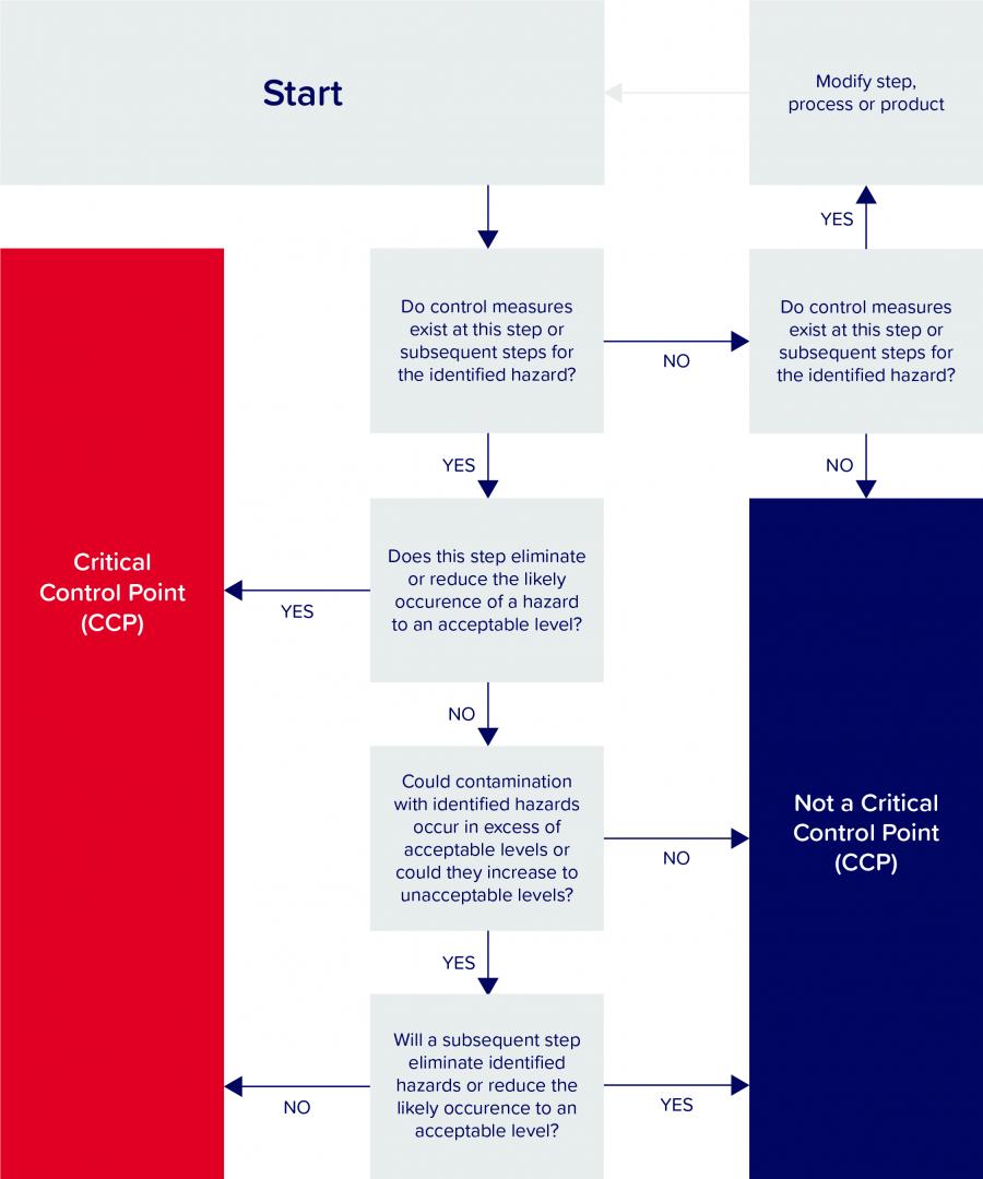 CCP decision tree